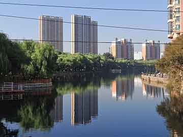 澳門一肖一碼100%準(zhǔn)確網(wǎng)站，澳門一肖一碼精準(zhǔn)預(yù)測網(wǎng)站