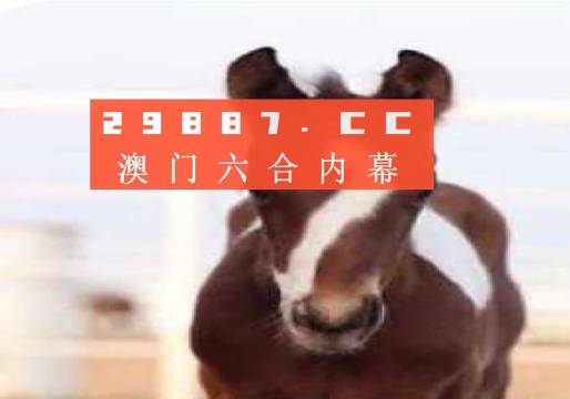 澳門必中一肖一碼準(zhǔn)一肖，澳門必中一肖一碼精準(zhǔn)預(yù)測