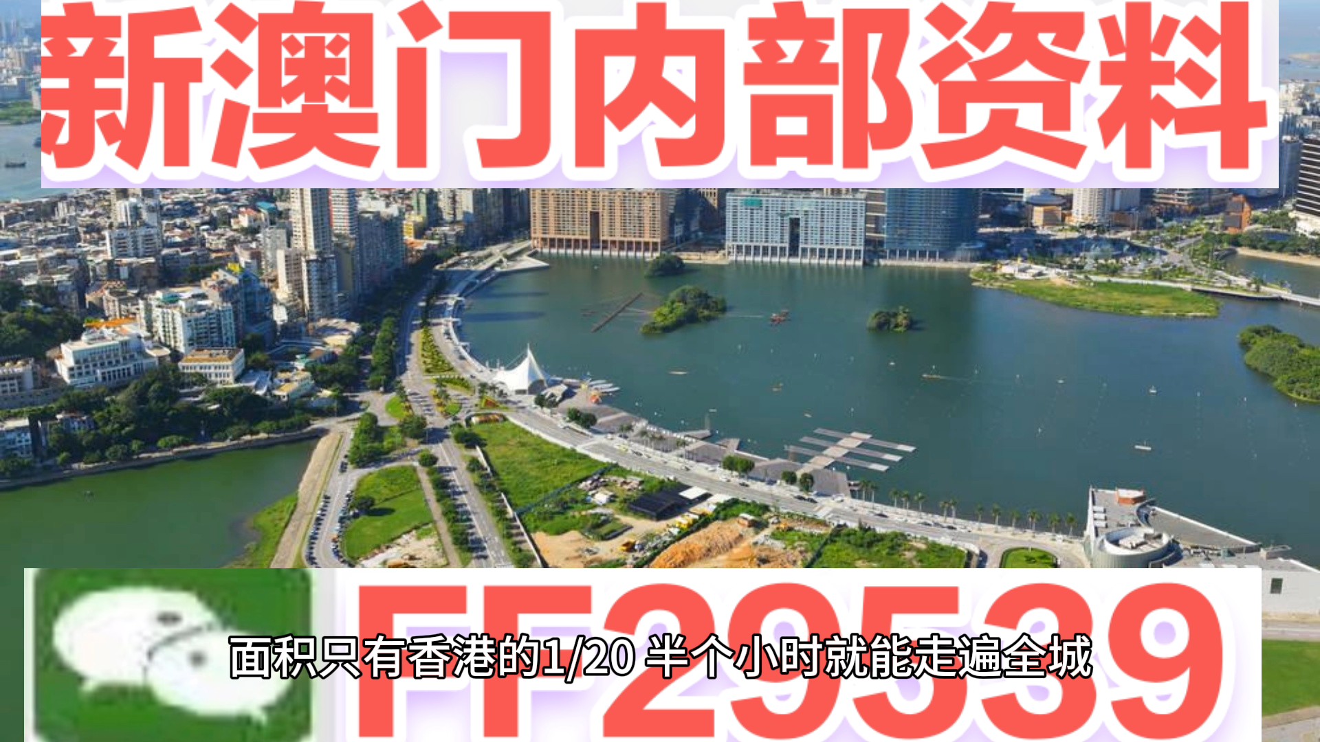 揭秘澳門今晚開獎結(jié)果，一場數(shù)字盛宴的狂歡與期待，澳門今晚開獎結(jié)果揭秘，數(shù)字盛宴的期待與狂歡