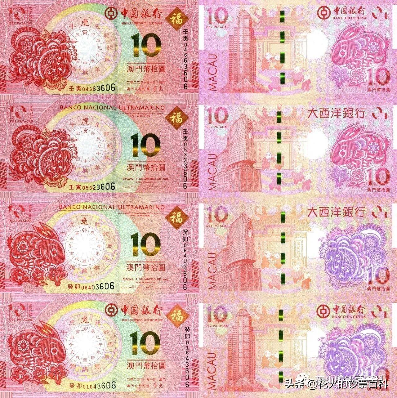 2025年新澳門今朝，今朝的新澳門，展望2025年