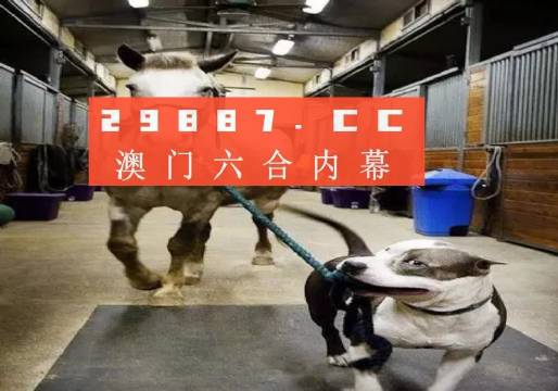 澳門一肖一碼一必中，同舟共濟揚帆前進，澳門一肖一碼精準預測，同舟共濟共赴未來