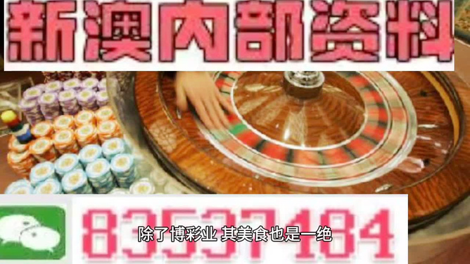 新澳2025年正版資料，新澳2025年正版資料概覽