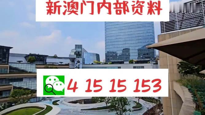 澳門新三碼必中一免費(fèi)，揭秘彩票背后的秘密，揭秘澳門新三碼彩票背后的秘密，必中一免費(fèi)真相探究