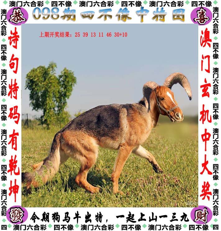 新澳2025今晚開(kāi)獎(jiǎng)資料四不像,精細(xì)解析評(píng)估_16
