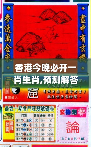 今期必開二肖,實(shí)地研究解析說明_29