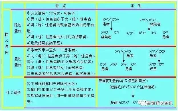 2025澳門(mén)特馬開(kāi)獎(jiǎng)記錄,高效方案實(shí)施設(shè)計(jì)_26