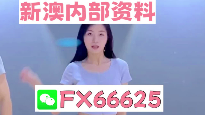 新澳門精準(zhǔn)資料大全—管家婆料的探索之旅，澳門精準(zhǔn)資料大全揭秘，管家婆料的探索之旅