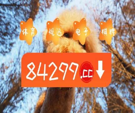 澳門天天免費精準(zhǔn)大全—探索澳門的無盡魅力，澳門魅力無限，天天免費精準(zhǔn)大全探索之旅