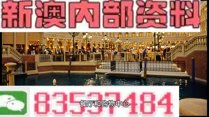 新門內(nèi)部資料精準大全，新門內(nèi)部資料精準大全揭秘