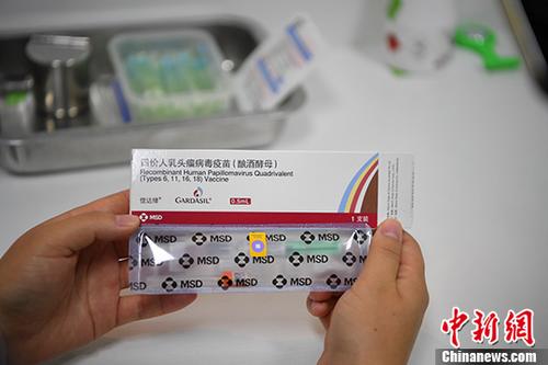二四六香港管家婆期期準資料大全，香港管家婆期期準資料大全 246期期精選預測