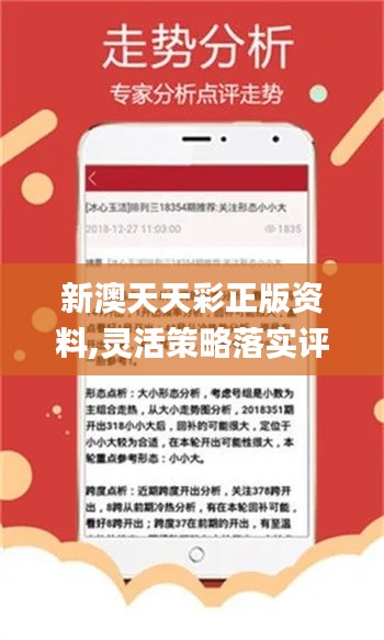 2025新澳天天資料免費大全，2025新澳天天資料免費大全，全面解析與預覽