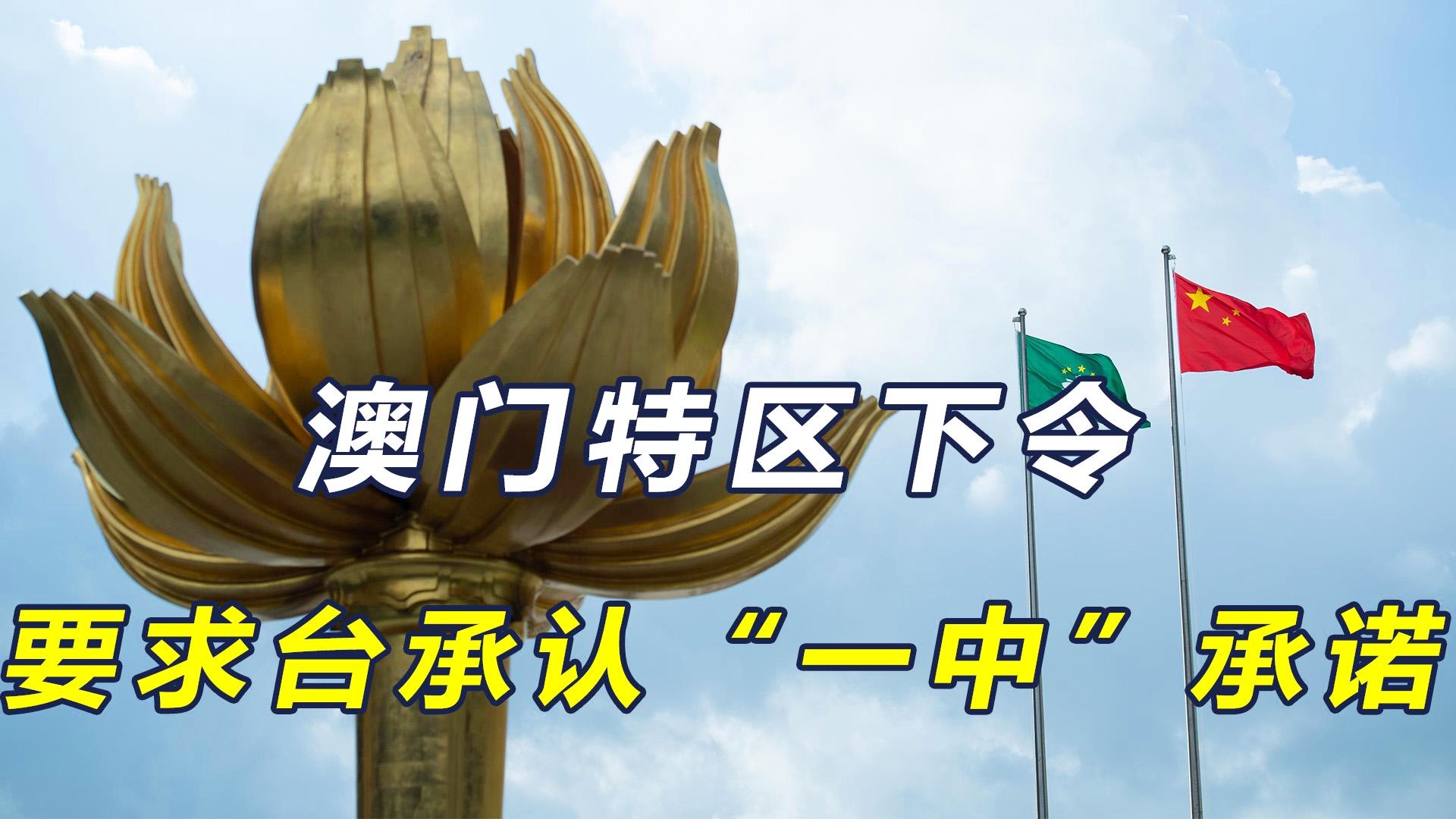 澳門一碼一肖一待一中四不像，澳門一碼一肖一待一中四不像揭秘