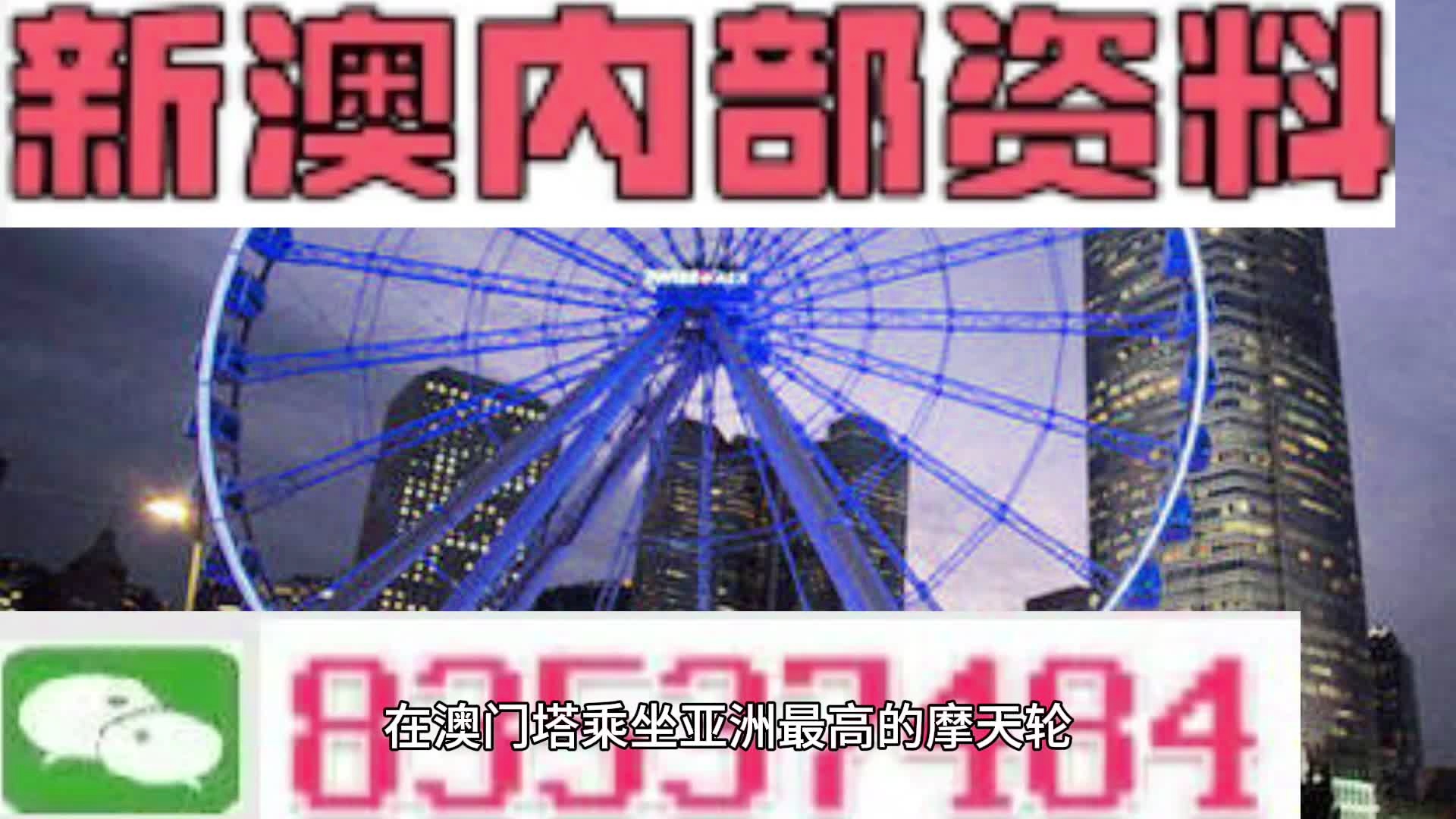 新澳門一肖中，揭秘期期準的奧秘，揭秘新澳門一肖中，期期準的奧秘所在
