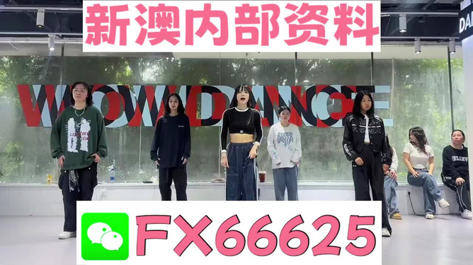 管家婆一票一碼資料，管家婆一票一碼資料大全
