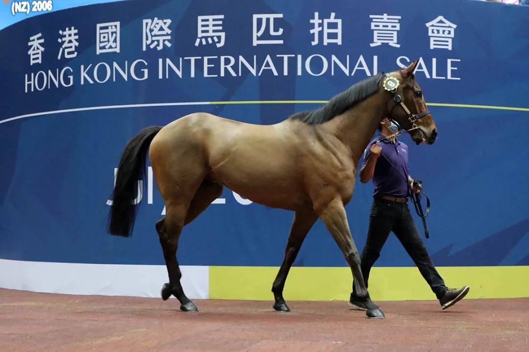 馬會(huì)香港7777788888，馬會(huì)香港精彩賽事與數(shù)字盛宴，7777788888的盛宴