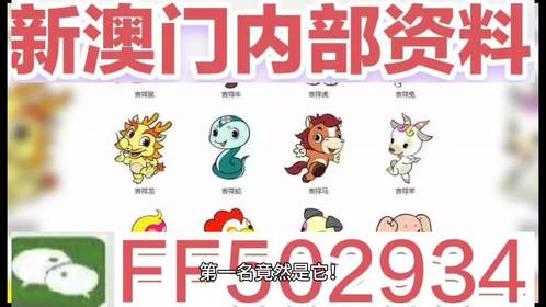 探索未來，關(guān)于澳門生肖彩票的奇幻之旅，澳門生肖彩票奇幻之旅，探索未來的奧秘之旅