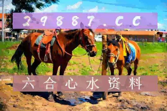 4949澳門今晚開獎，澳門今晚開獎結(jié)果揭曉