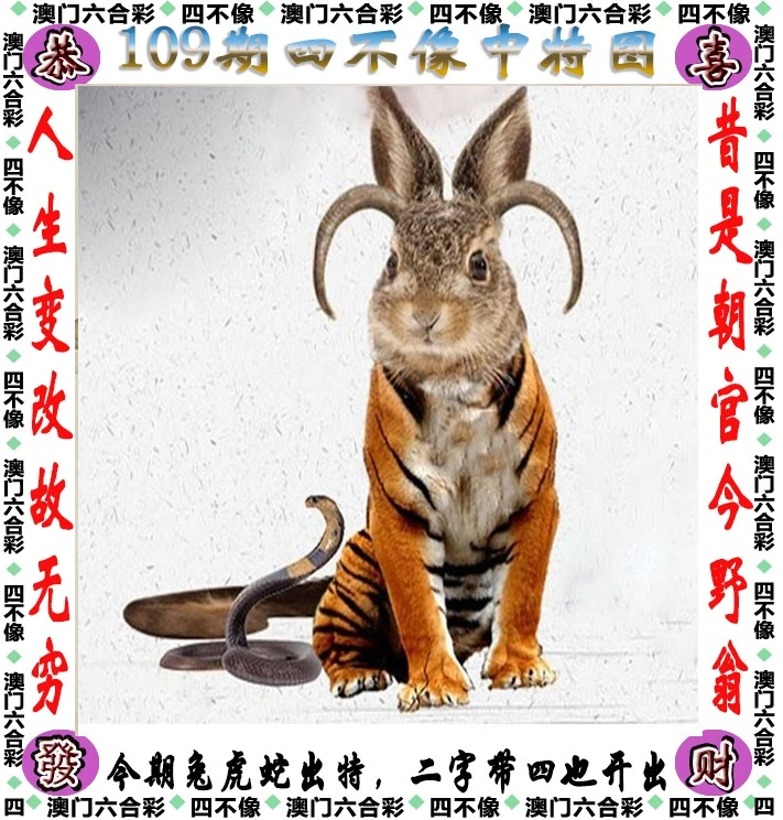 奧門今晚特馬四不像生肖圖解析，澳門今晚特馬生肖圖解析，四不像生肖圖探秘