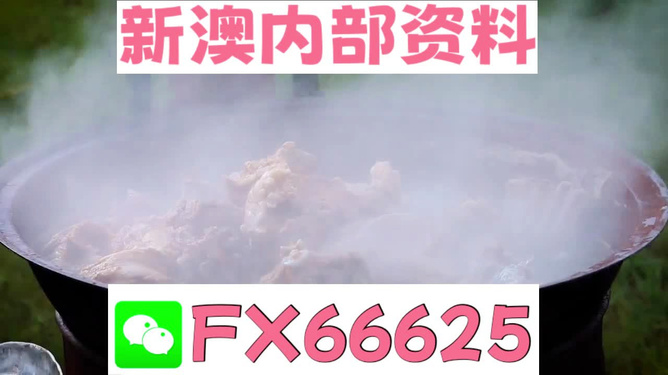 新澳全年免費資料大全，新澳全年免費資料大全匯總