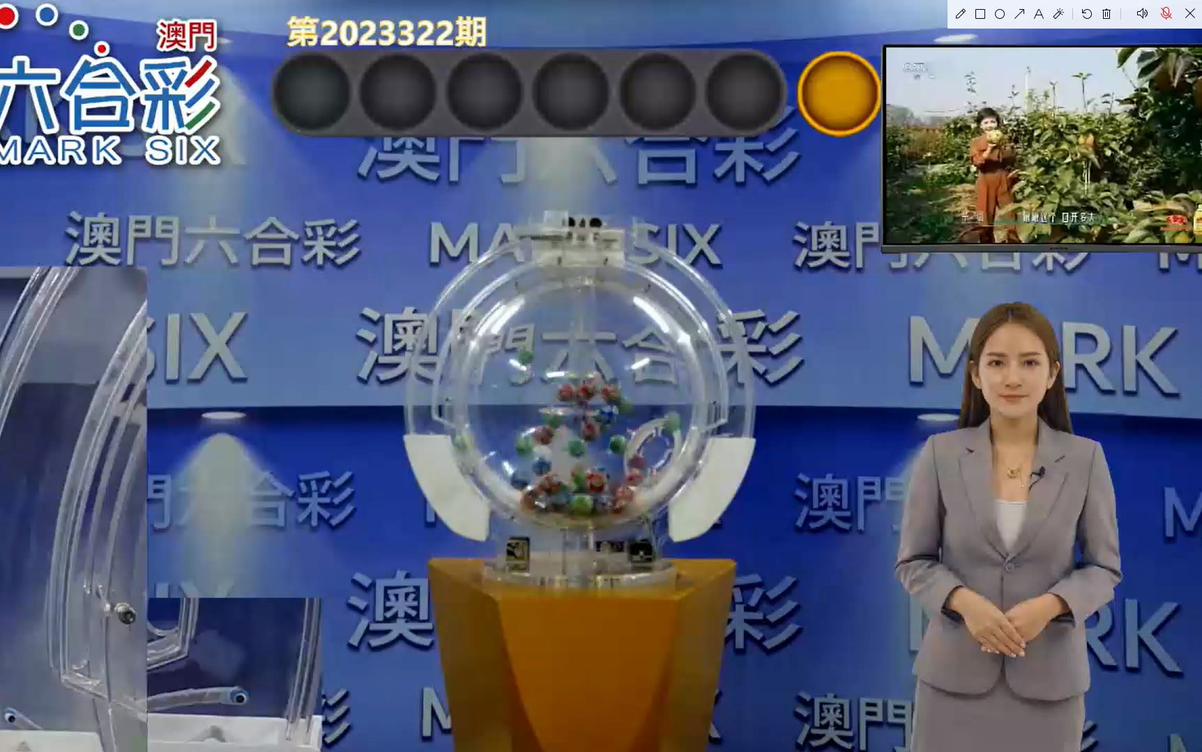 新澳門最新開獎記錄查詢第28期，一網(wǎng)打盡所有開獎信息，澳門最新開獎記錄第28期全彩開獎信息一網(wǎng)打盡