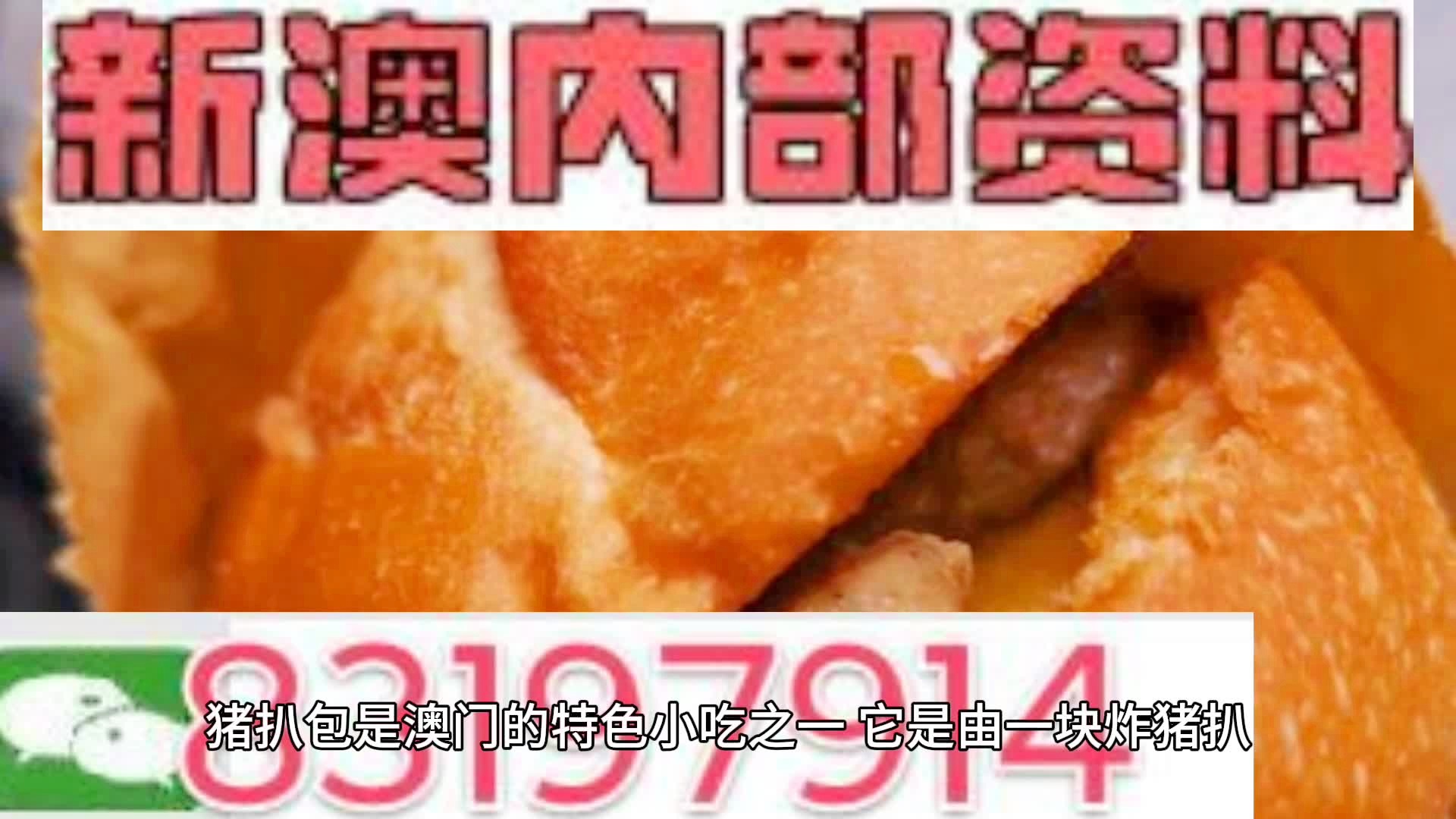 2025新澳精準(zhǔn)資料大全，2025新澳精準(zhǔn)資料大全手冊(cè)