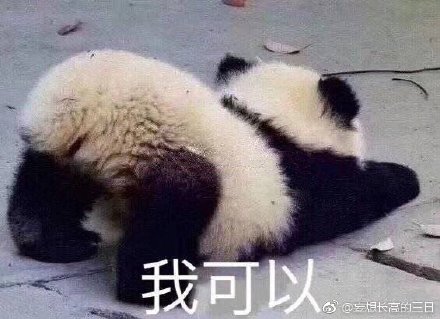 四不像的神秘面紗，今晚必中一肖揭秘，四不像神秘面紗揭曉，今晚生肖揭秘一探究竟