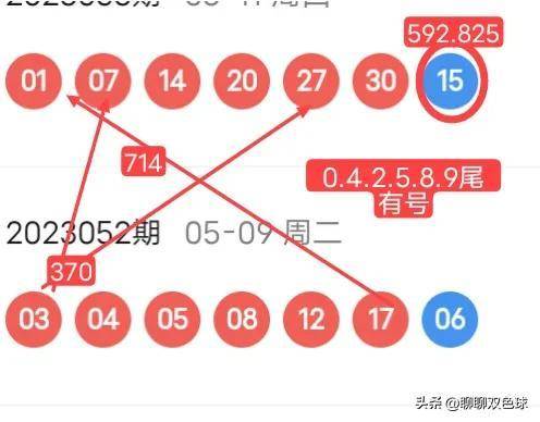 白小姐六肖期期準選一，白小姐六肖期期精選一，揭秘準確選擇的秘密