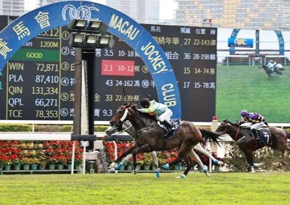 香港馬會—傳真，香港馬會傳真報道速遞
