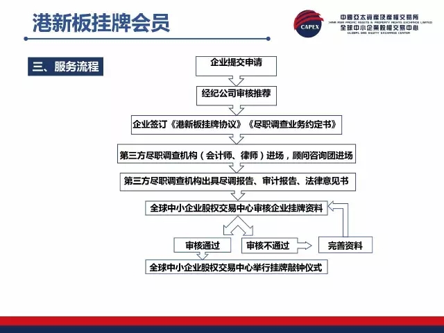 正版掛牌資料全篇100%，正版掛牌資料全解析