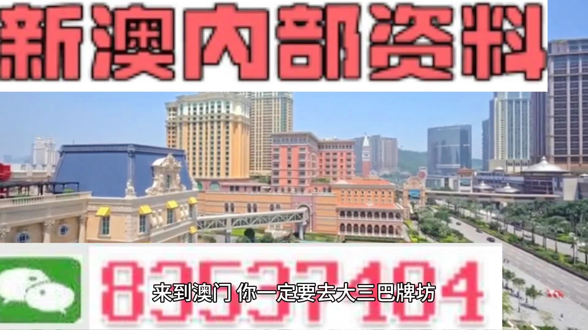 2025新澳精準(zhǔn)資料大全，2025新澳精準(zhǔn)資料大全手冊(cè)