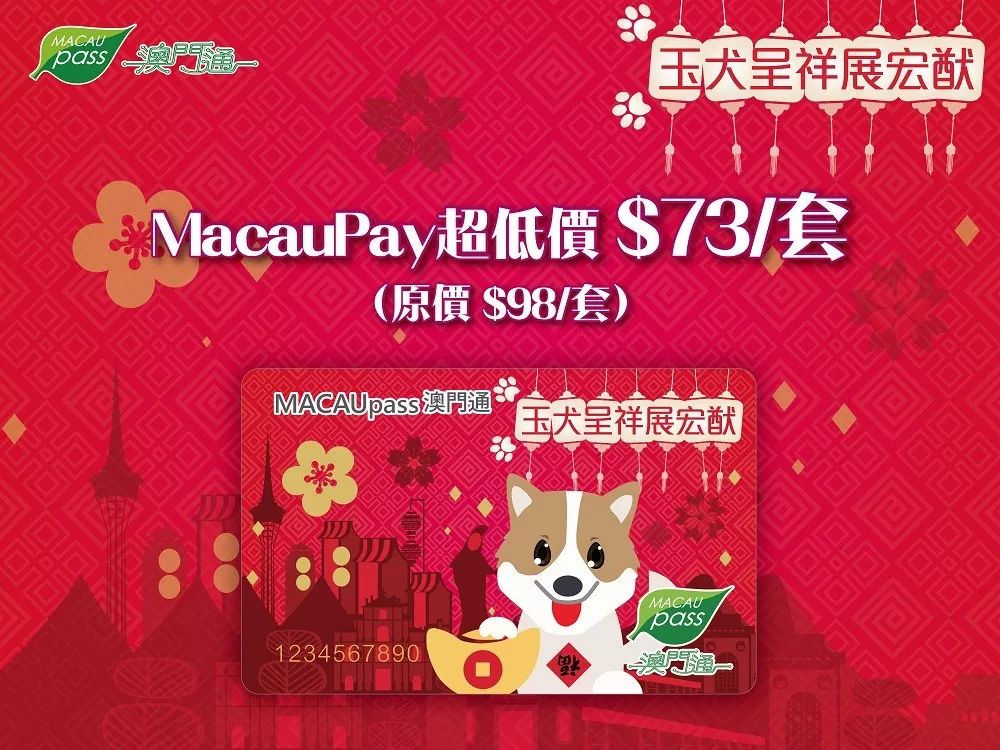 澳門正版資料大全資料生肖卡，澳門正版資料大全，生肖卡全收錄