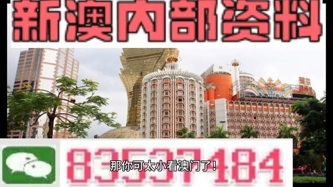 新澳門免費(fèi)資料大全最新版本下載攻略，澳門最新免費(fèi)資料大全下載攻略，全面解析最新版本獲取方式