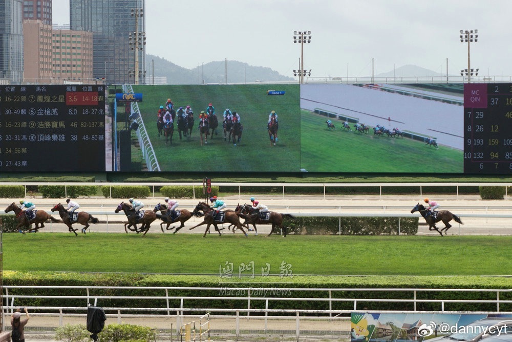 2025新澳門今晚開特馬直播—探索未來(lái)的澳門賽馬文化，澳門賽馬文化未來(lái)展望，直播時(shí)代下的澳門特馬探索