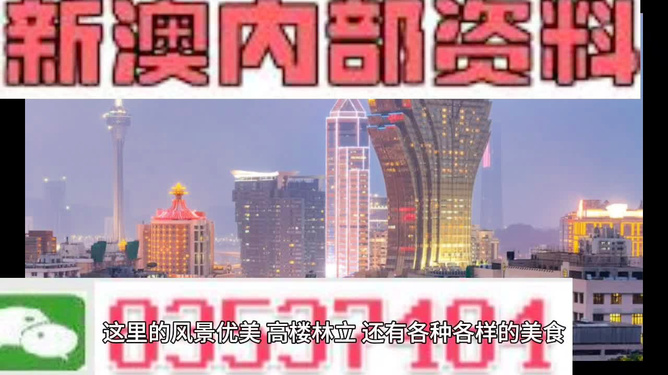 新澳門最精準(zhǔn)資料大全，澳門最新精準(zhǔn)資料大全