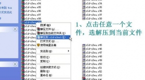 港澳寶典資料特色，港澳寶典資料特色解析