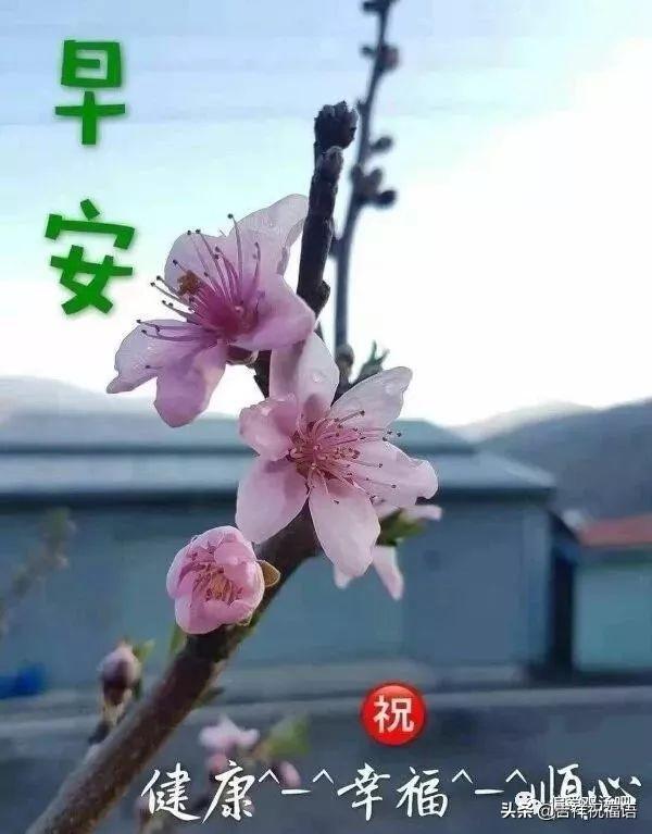 圖庫大全資料圖片，一網打盡海量視覺資源，海量視覺資源一網打盡，圖庫大全資料圖片匯總