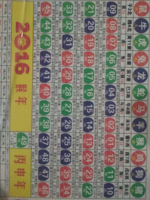 揭秘，2025年十二生肖與49碼表深度解析，揭秘，十二生肖與49碼表深度解析——未來趨勢預測到2025年