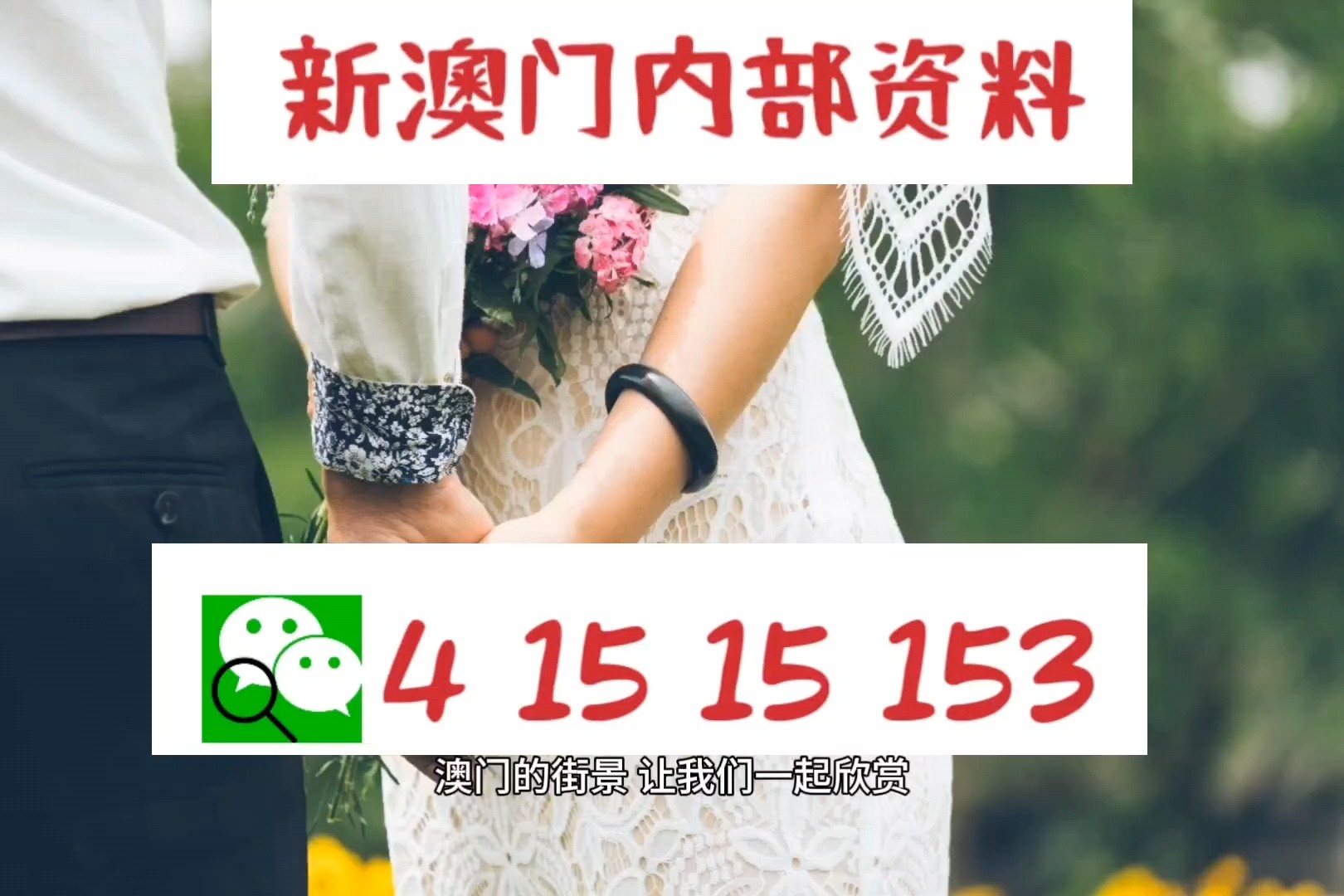 新澳正版資料免費(fèi)提供，一網(wǎng)打盡實(shí)用信息，新澳正版資料免費(fèi)分享，一網(wǎng)打盡實(shí)用信息