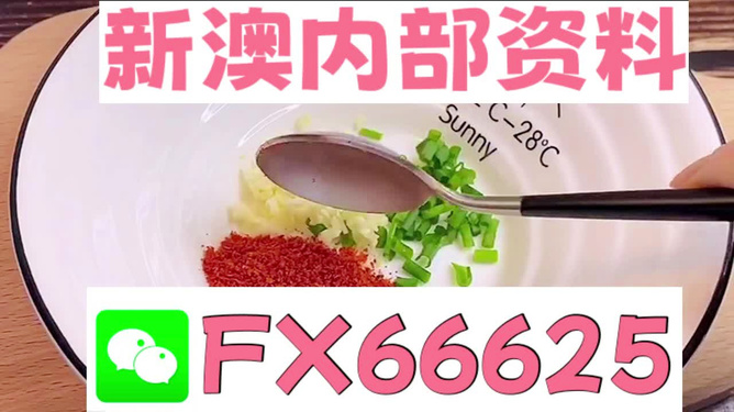 新澳全年免費(fèi)資料大全，新澳全年免費(fèi)資料大全匯總