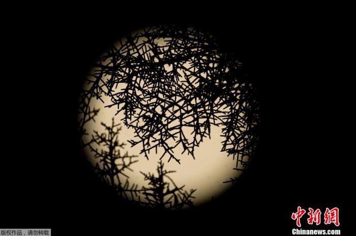 藍月亮資料精選期期準(zhǔn)，揭秘彩票背后的秘密，揭秘彩票背后的秘密，藍月亮資料精選期期精準(zhǔn)預(yù)測