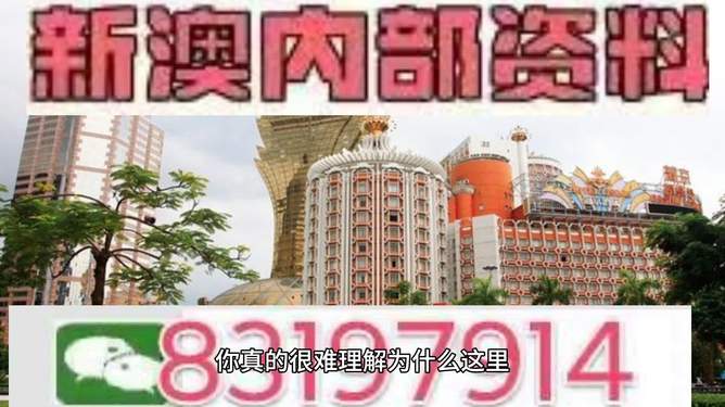 探索未來，聚焦澳門特馬之夜的無限可能，聚焦澳門特馬之夜，探索未來的無限可能