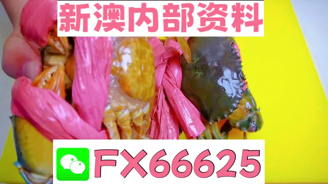 2025新澳精準正版資料大全，2025新澳正版資料大全，精準信息一覽