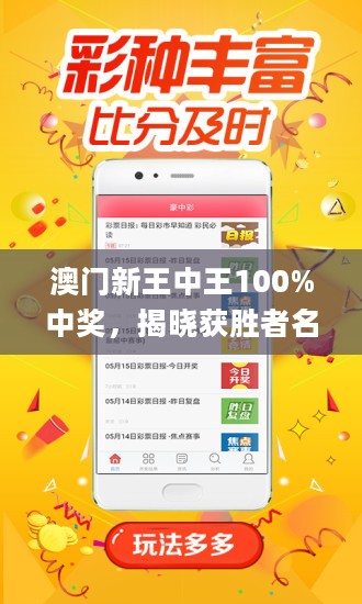 揭秘新澳門(mén)王中王，期期中之謎與真相，揭秘新澳門(mén)王中王，期期秘密與真相大揭秘