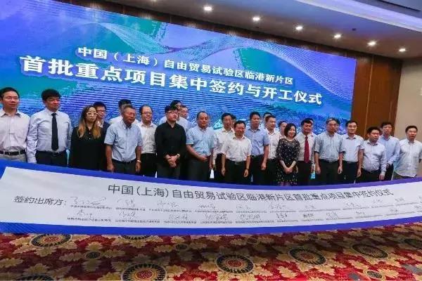 新奧天天免費(fèi)資料大全下載安裝全攻略，新奧天天免費(fèi)資料大全，下載、安裝全攻略及資料庫(kù)使用指南
