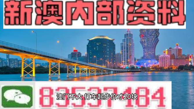 新澳門(mén)精準(zhǔn)資料期期精準(zhǔn)探索，2025年展望與預(yù)測(cè)，澳門(mén)未來(lái)展望，精準(zhǔn)資料的探索與預(yù)測(cè)（至2025年）