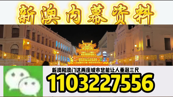 澳門今晚必開一肖一特，揭秘博彩文化背后的秘密，澳門博彩文化揭秘，今晚必開一肖一特探尋背后的秘密