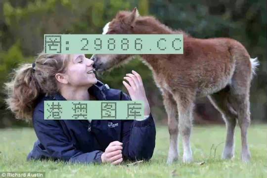 澳門(mén)今晚必開(kāi)一肖一特，揭秘生肖彩票的魅力與策略，澳門(mén)生肖彩票揭秘，必開(kāi)一肖一特的魅力與策略