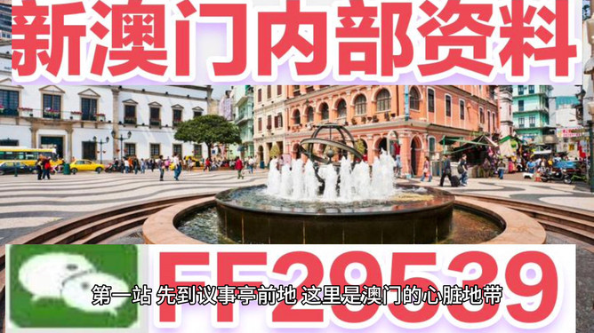 澳門今晚開什么號(hào)，探索彩票背后的故事，探索彩票背后的故事，澳門今晚開獎(jiǎng)號(hào)碼揭曉