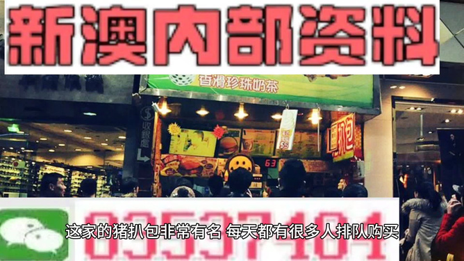 揭秘2025新澳精準資料大全，深度解讀與解析，揭秘2025新澳精準資料大全，深度解讀與全面解析