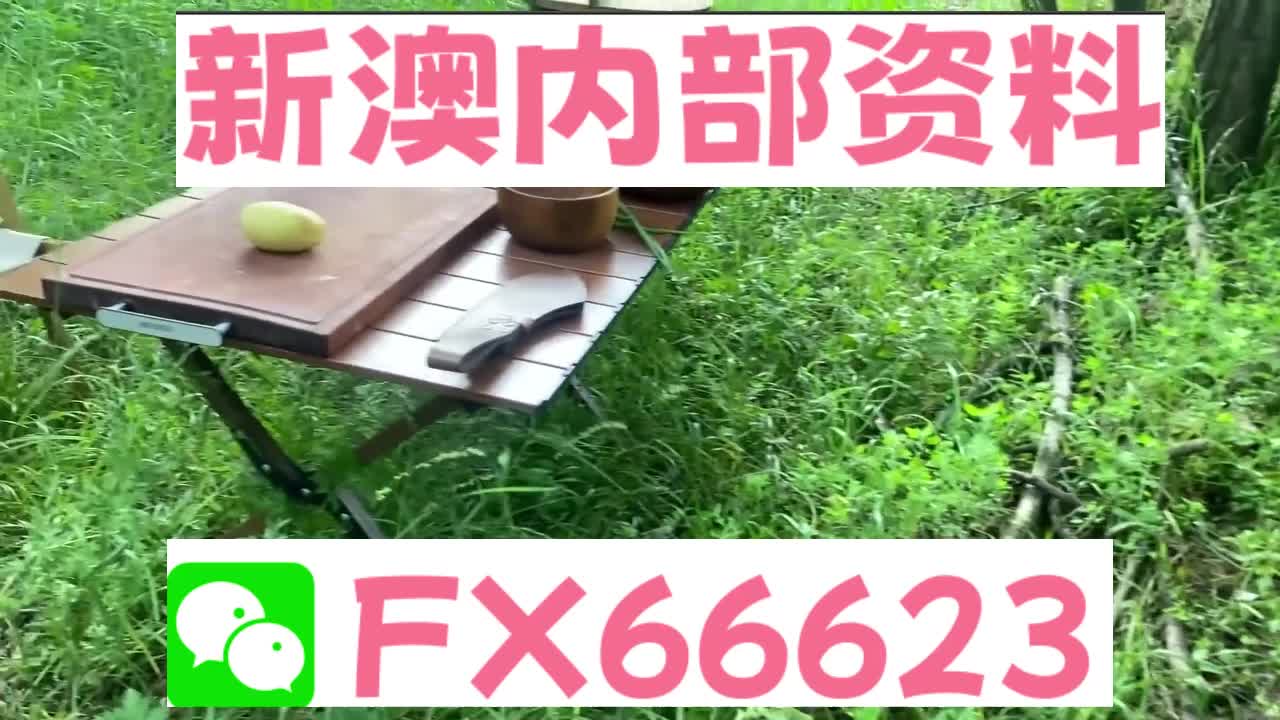2025新澳精準資料大全解釋，2025新澳精準資料大全詳解